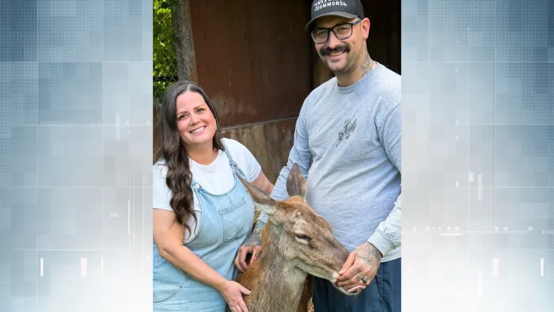 CFIA Probes Deer Removal at Marineland