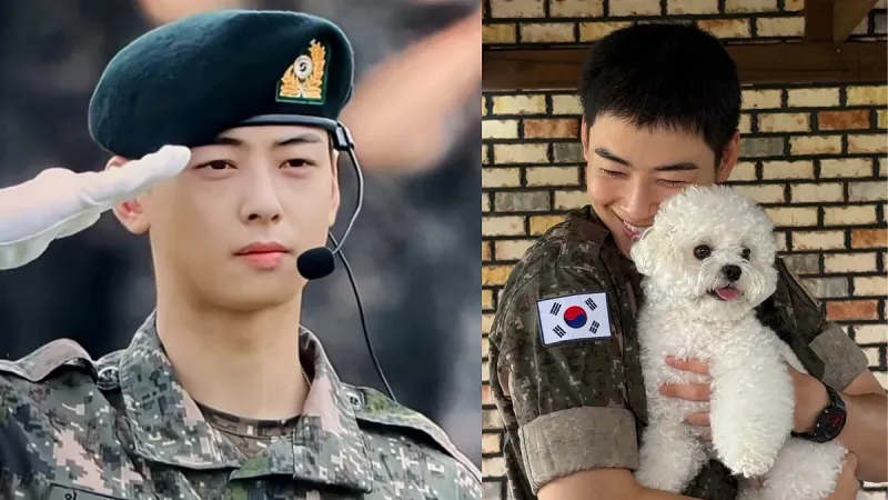 Cha Eun-Woo Tops Blue Dragon Popularity Poll