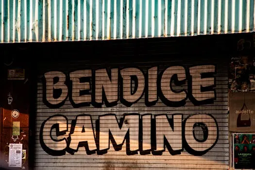 Chelsea mise sur Enzo Fernández comme leader