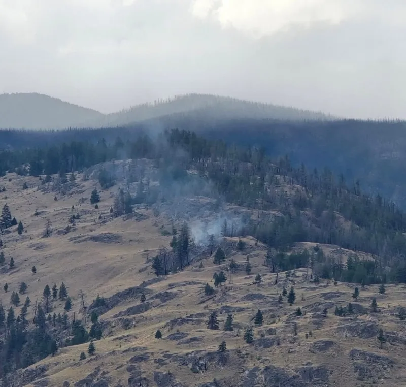 Chopaka Reserve Wildfire Being Held Near Cawston