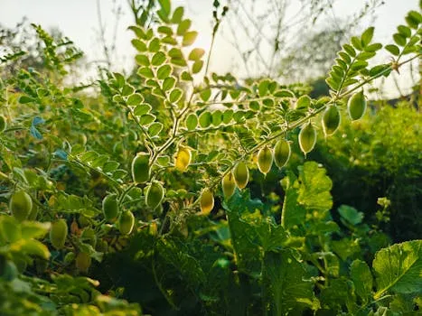 Cleanfarms Named a 2026 Best Workplace in Canada