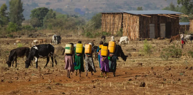 Climate Pressures Worsen Violence Against Women