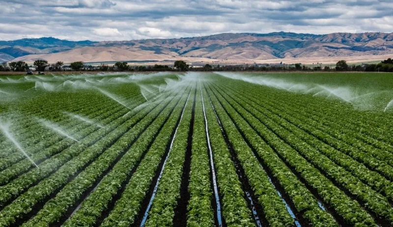 Climate-Smart Agriculture: A Necessity for Food Security