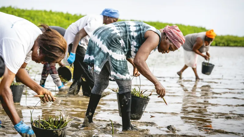 Co-ops: Saving the World One Share at a Time