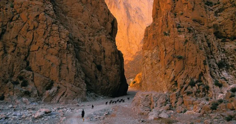 Temps froid et venteux avec neige sur les sommets marocains