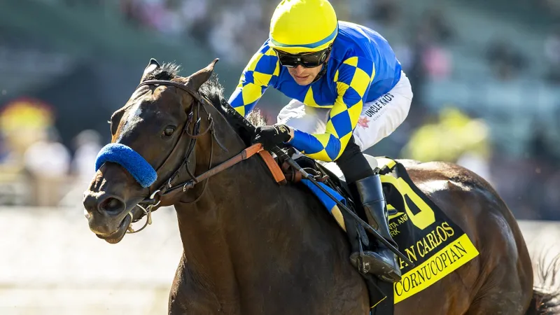 Cornucopian Faces Competition at Del Mar