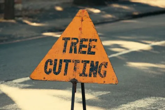 Council warns SEND costs may cut street cleaning