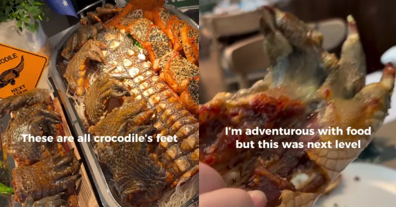 Des pieds de crocodile au buffet du MBS choquent une cliente