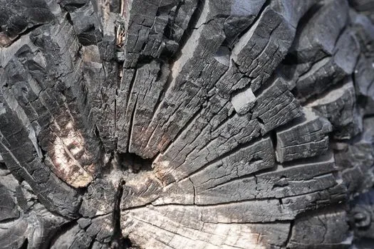 Chypre lutte contre le brûlage illégal de plastiques agricoles