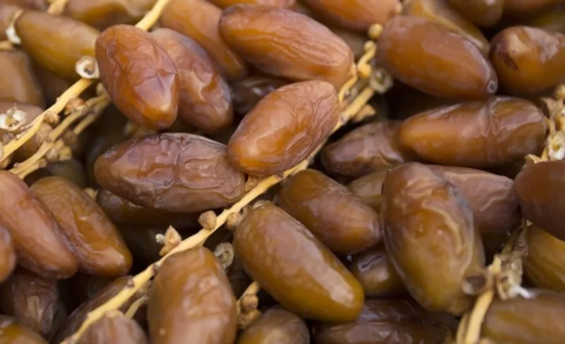 Date Exports Up 5.6% in Volume and Revenue by April 2026