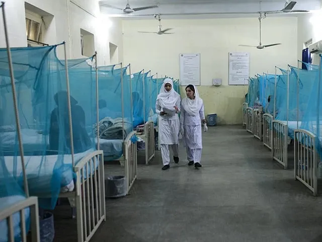 Dengue data gaps alarm health officials in Khyber-Pakhtunkhwa