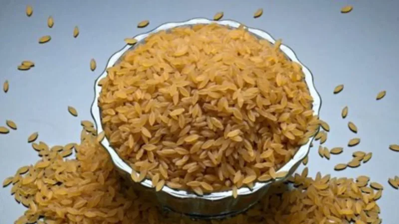 Designer Rice: High-Protein, Low-GI Varieties Under Development