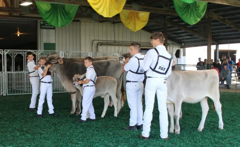 DeWitt, Bell et Tandy remportent les titres de vaches laitières