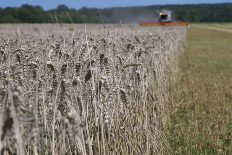 Diet is the main source of cadmium exposure for most people