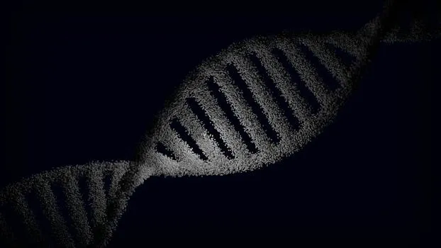 DNA Therapy Cuts Bad Cholesterol by 50% in Animal Study