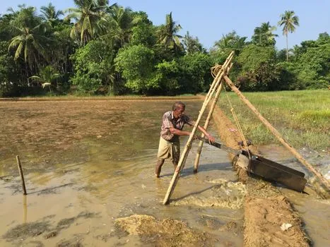 Dr. Dharmadhikari's Environmental Work in NC