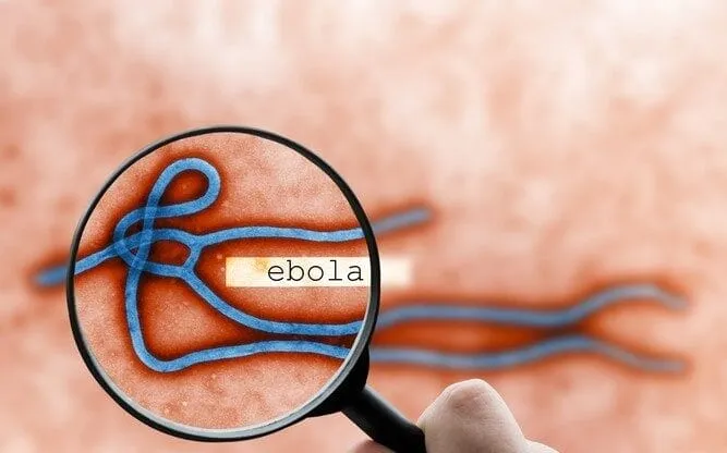 DRC Ebola Outbreak: 2,011 Deaths, 4,381 Cases