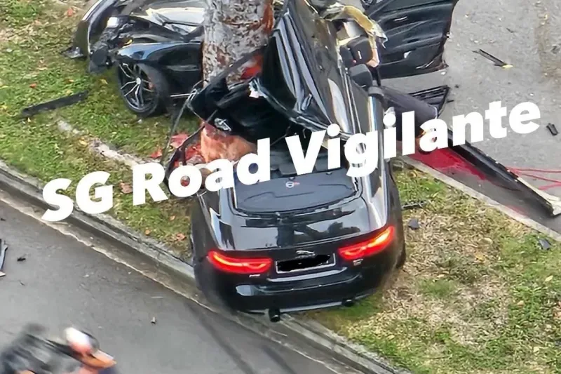 Driver dies in Clementi tree crash on May 10