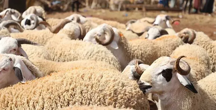 Drought and Food Sovereignty: Overlooked in Debate