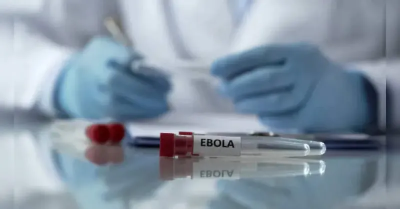 Épidémie d'Ebola en RDC : l'OMS met en garde contre une propagation continue