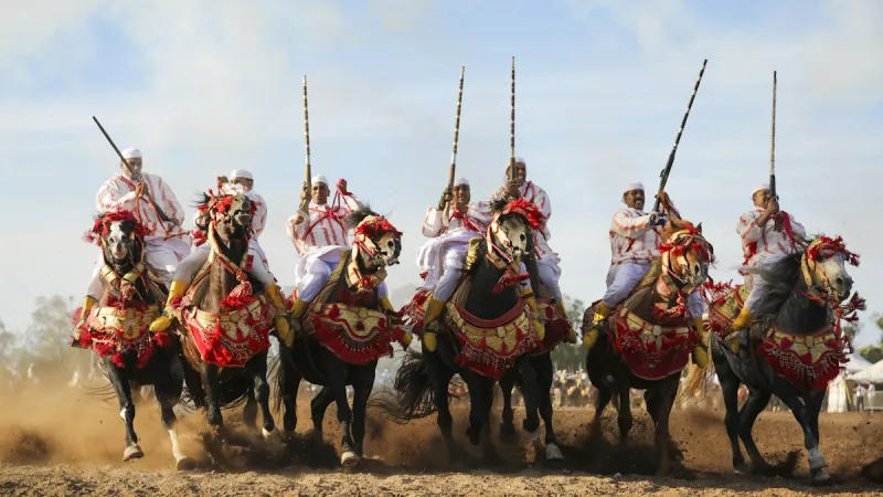Salon du Cheval d'El Jadida 2026 : Journée science et culture