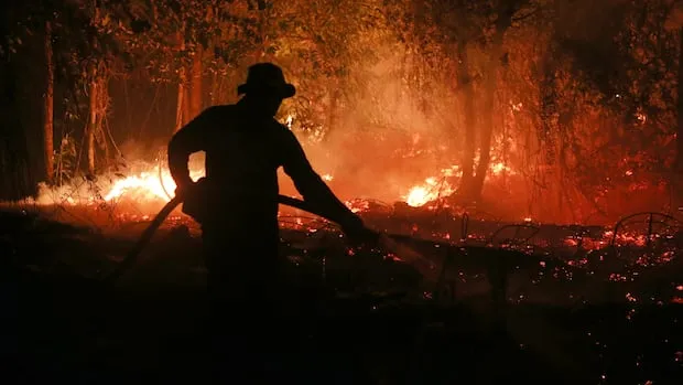 La chaleur d'El Niño pourrait causer 500 000 décès