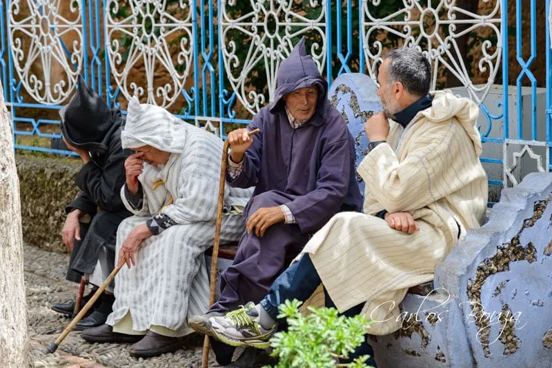 Elderly dependency rate could reach 40% by 2050