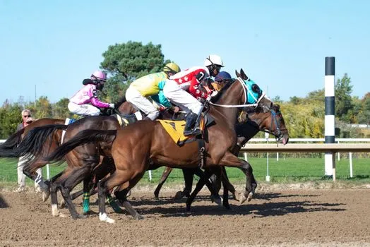 Emus Newcomer Embraces Derby Hype After Win
