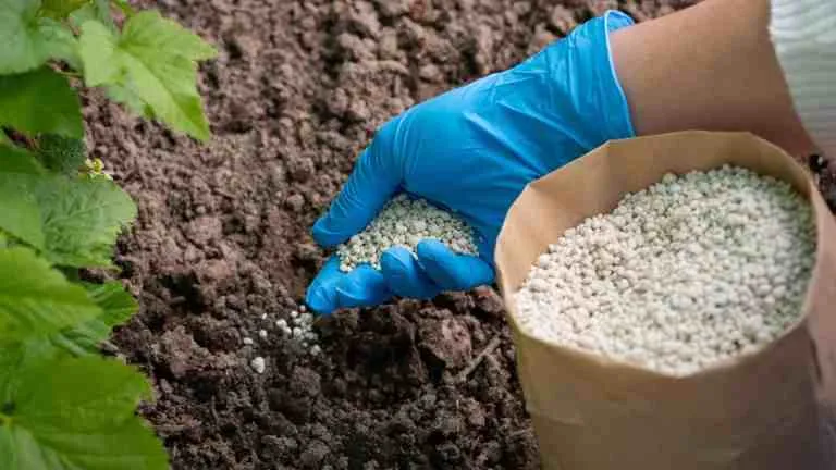 EU Fertilizer Plan Aims to Secure Supply, Aid Farmers