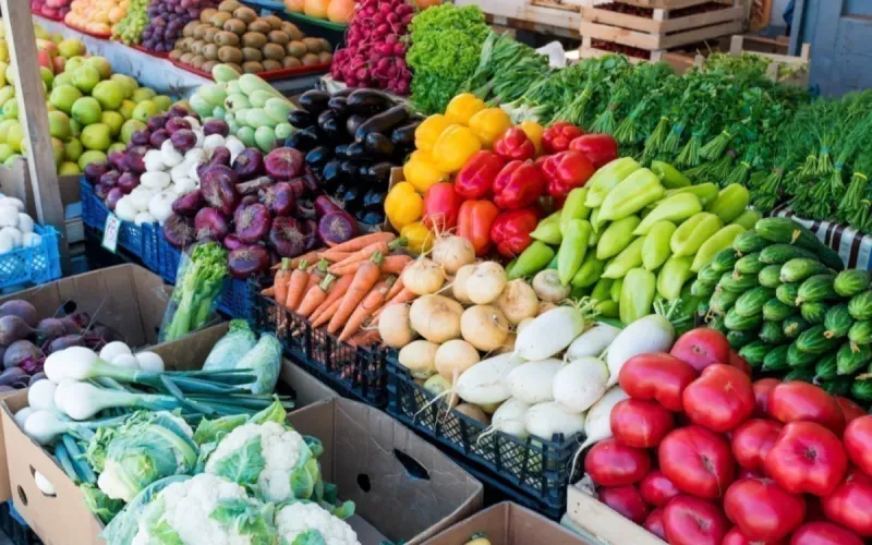 L'UE durcit les règles sur les pesticides, le Maroc vise plus d'exportations