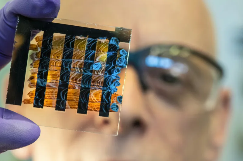 L'IA Evo 2 décode l'ADN de toutes les formes de vie