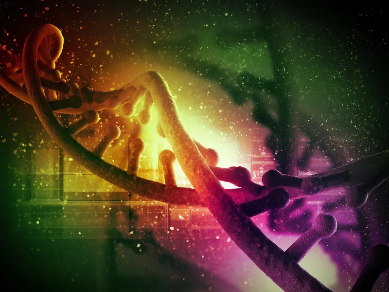 Evolution's 'Cheat Sheet': Same Genes, Different Species