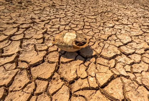 Extreme Heat Warning Issued for Central US