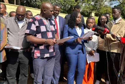 Faith Odhiambo Urges Prosecution of Political Violence Financiers