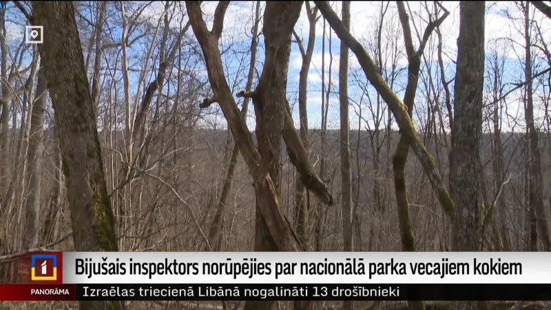 Fallen trees left near Latvian trail spark safety concerns