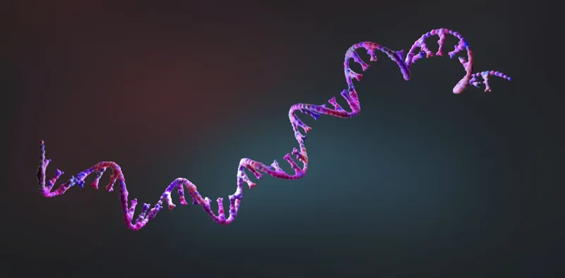 FDA Approves First mRNA Flu Shot, Paving Way for Future Therapies