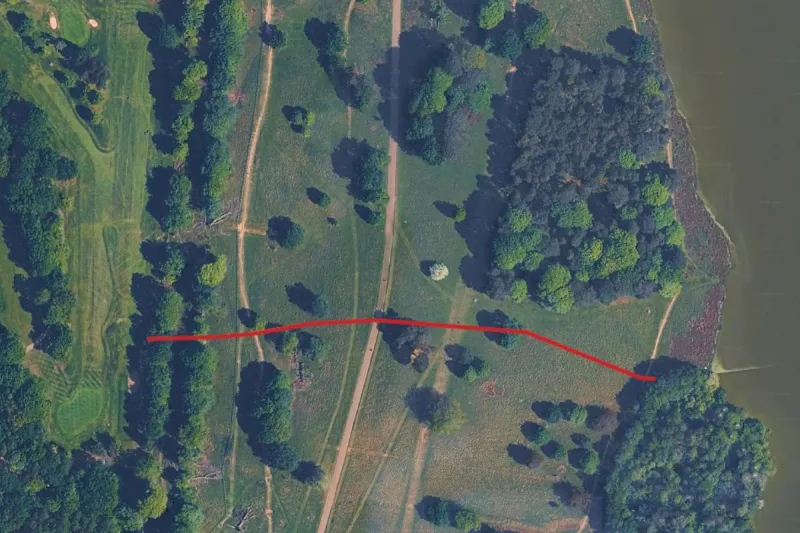 Fence planned after 20 red stag attacks in two years