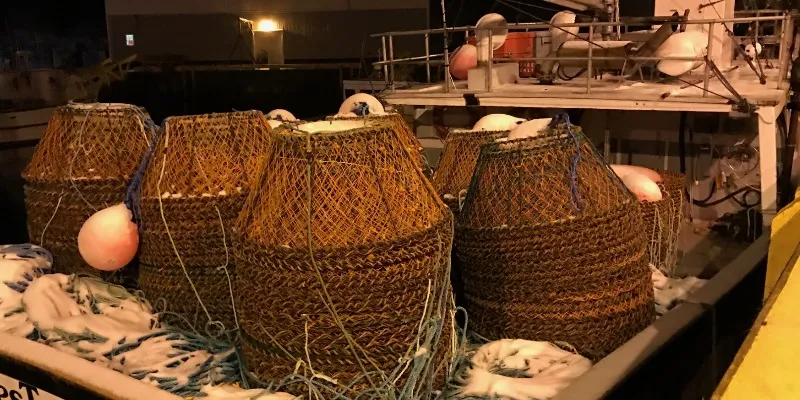 FFAW Clarifies Member Rights After Court Injunction