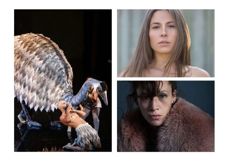 Findhorn to host world culture festival in July 2026