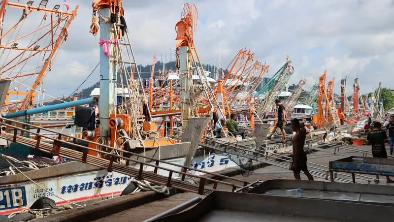 Fish Market Plans Focus on Port Upgrades, Seafood Hub