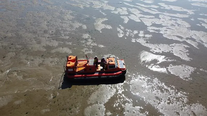 Five Children Rescued Off Southend Coast