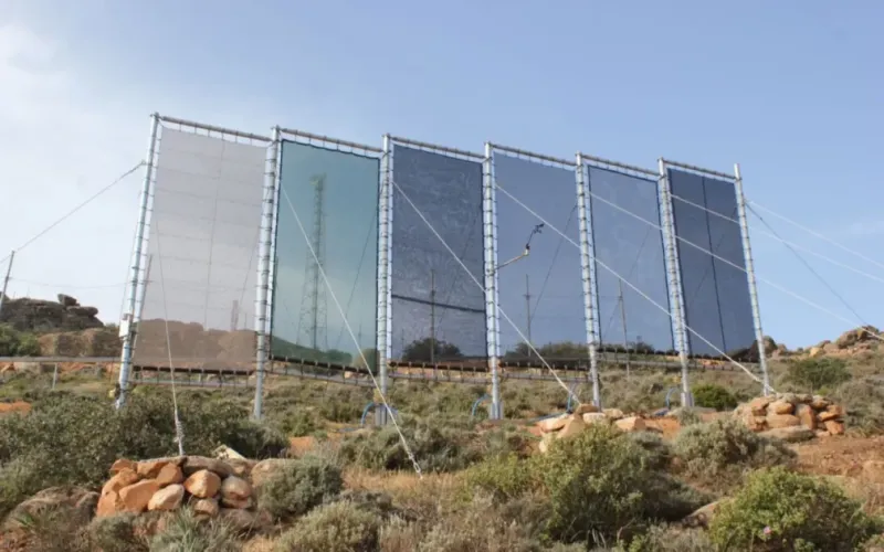 Des filets captent le brouillard pour produire de l'eau potable au Maroc
