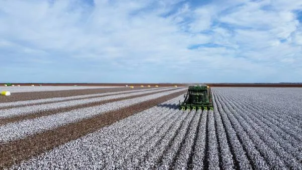 Foreign Firm Grant Sparks Corporate Welfare Debate