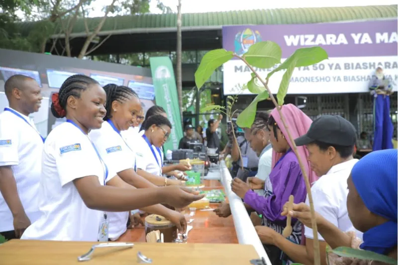 Formalisation of forestry, beekeeping key to investment