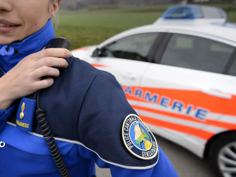 Four Youths Arrested After Burglary in Nyon