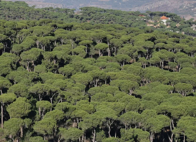 France Highlights Water, Forest Cooperation with Morocco in Rabat