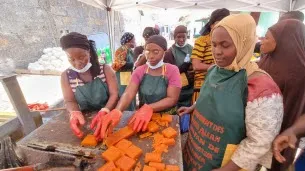 France's Development Aid Resists Budget Cuts in 2026