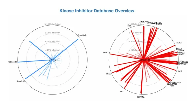 Fred Hutch Study Expands Kinase Drug Use