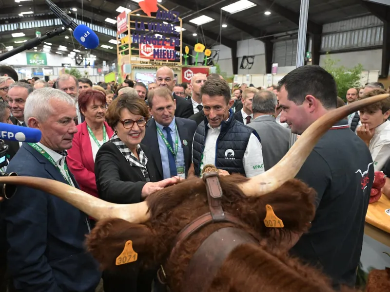 French Agriculture Ministers Clash Over Meat and Tomato Imports