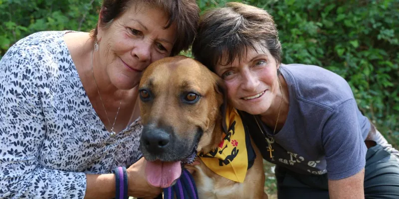 French dog kennel trains abandoned dogs to boost adoptions